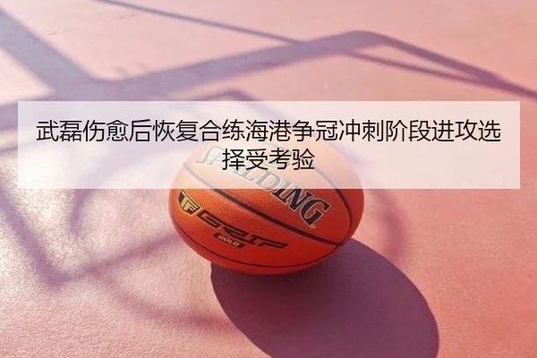 武磊伤愈后恢复合练海港争冠冲刺阶段进攻选择受考验