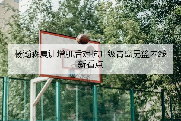 杨瀚森夏训增肌后对抗升级青岛男篮内线新看点