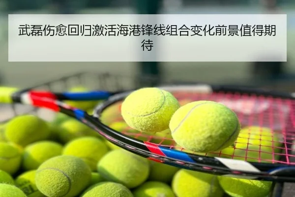 武磊伤愈回归激活海港锋线组合变化前景值得期待